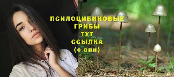 jwh Богородицк