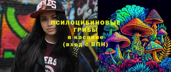 скорость Богданович