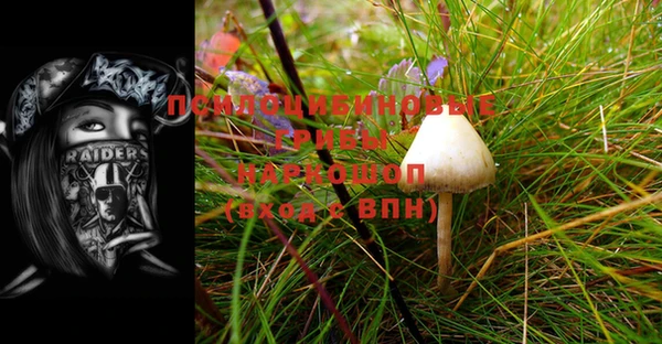 амф Баксан