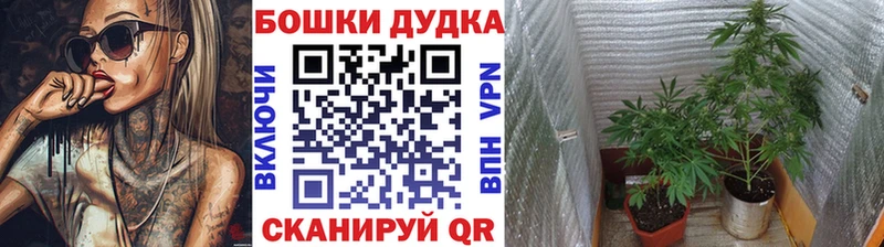 Шишки марихуана Bruce Banner Олёкминск